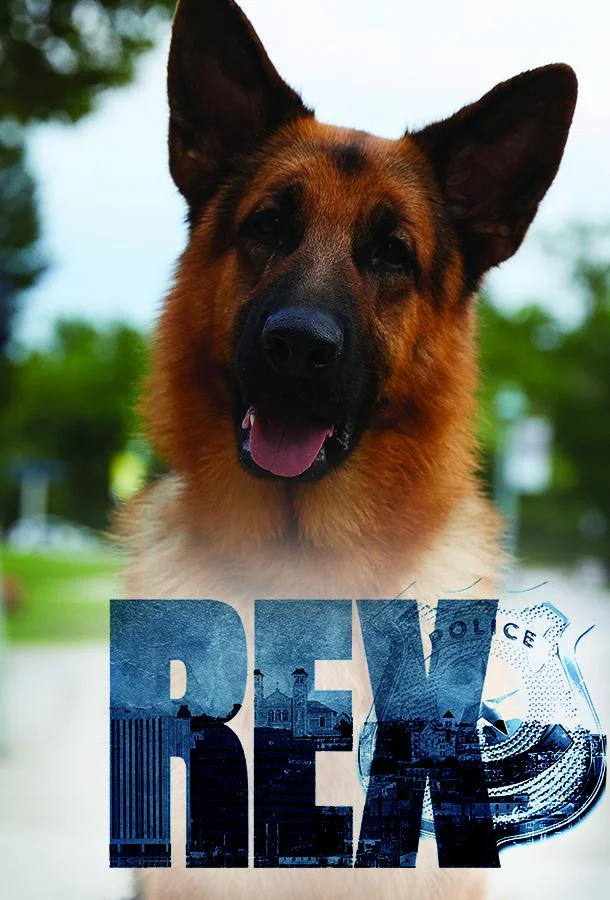 Хадсон и Рекс (1-7,8,9 сезон 1 серия) смотреть онлайн