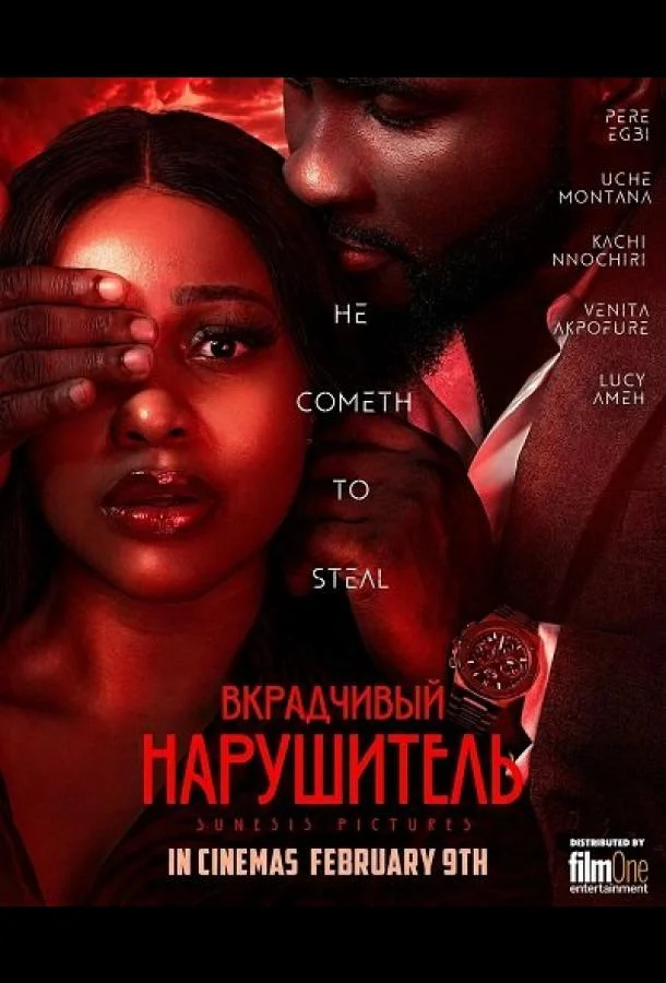 Вкрадчивый Нарушитель (2024) смотреть онлайн