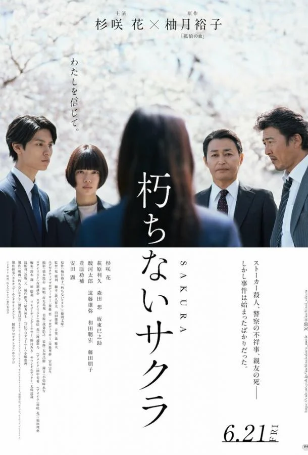 Вечная сакура (2024) смотреть онлайн