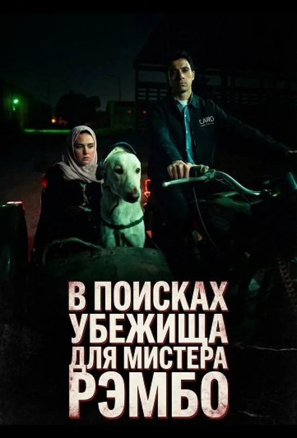 В поисках убежища для мистера Рэмбо (2024) смотреть онлайн